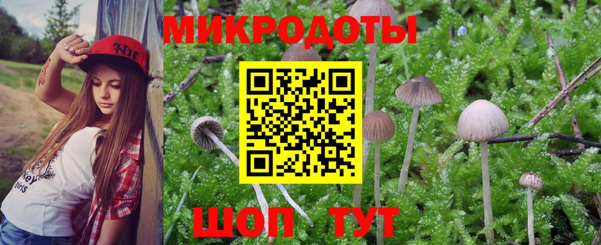 Галлюциногенные грибы Cubensis  Вход с VPN  Тверь 