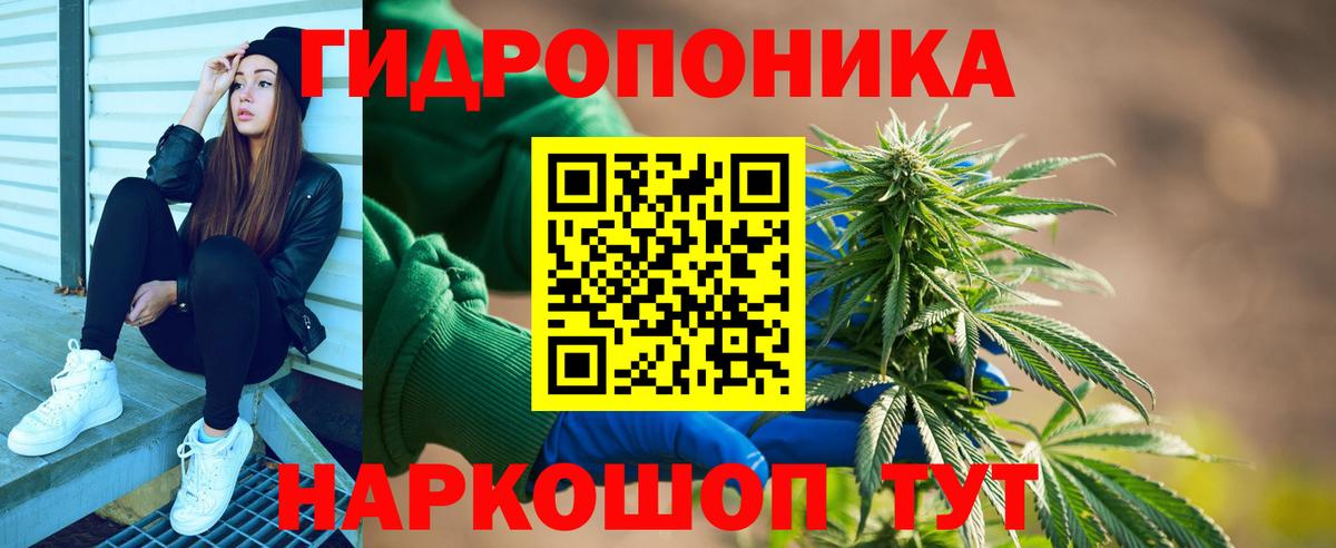 Каннабис гибрид Тверь